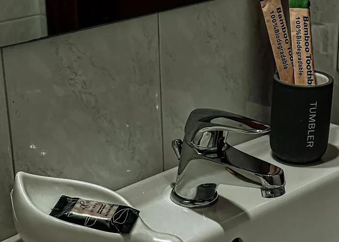 公寓 Matteotti Sky 1 *